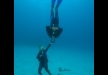 Popeye Diving Center - Thassos gallery thumbnail