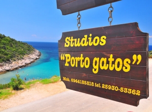 Porto Gatos Studios main image